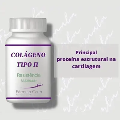 Colágeno Tipo 2